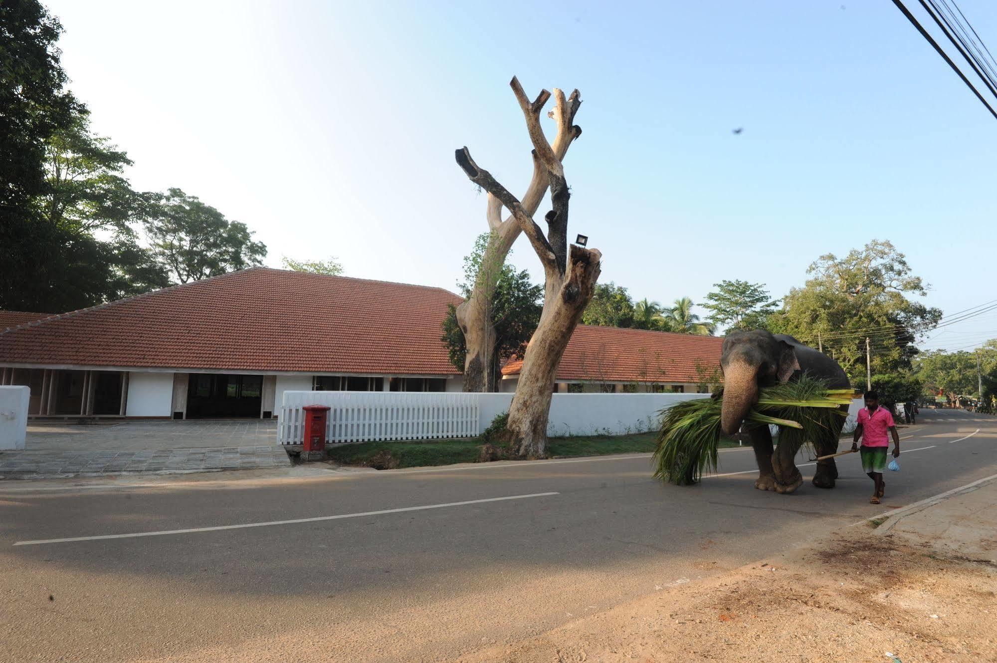 Ekho Sigiriya Ξενοδοχείο Εξωτερικό φωτογραφία